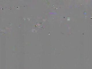 Spycams From Guys