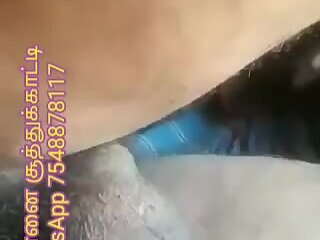 சென்னை சூத்துக்காட்டி