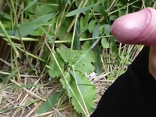 cruising fuck