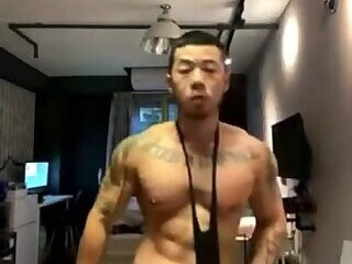 gay