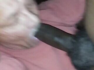 SUCKING BIG BLACK DICK 🤤