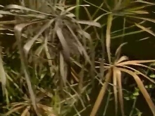 MH-猛男集中營