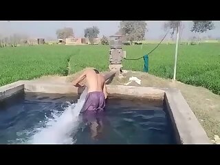 Tubewell twink
