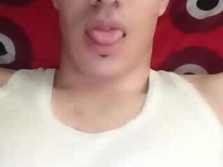 algeris smooth