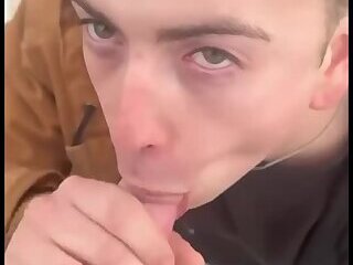 Brandon Todd Morsilli