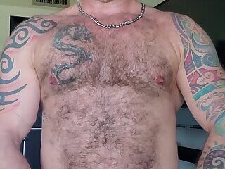 bears