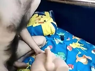 hmib