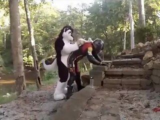 - Furry vs Biker .