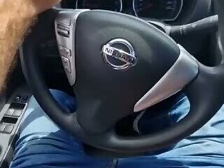 executive having sex in the car