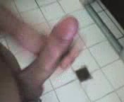 Amateur chap masturbates in a toilet
