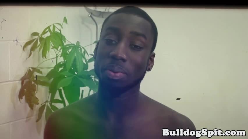 Snapshot Frame 12