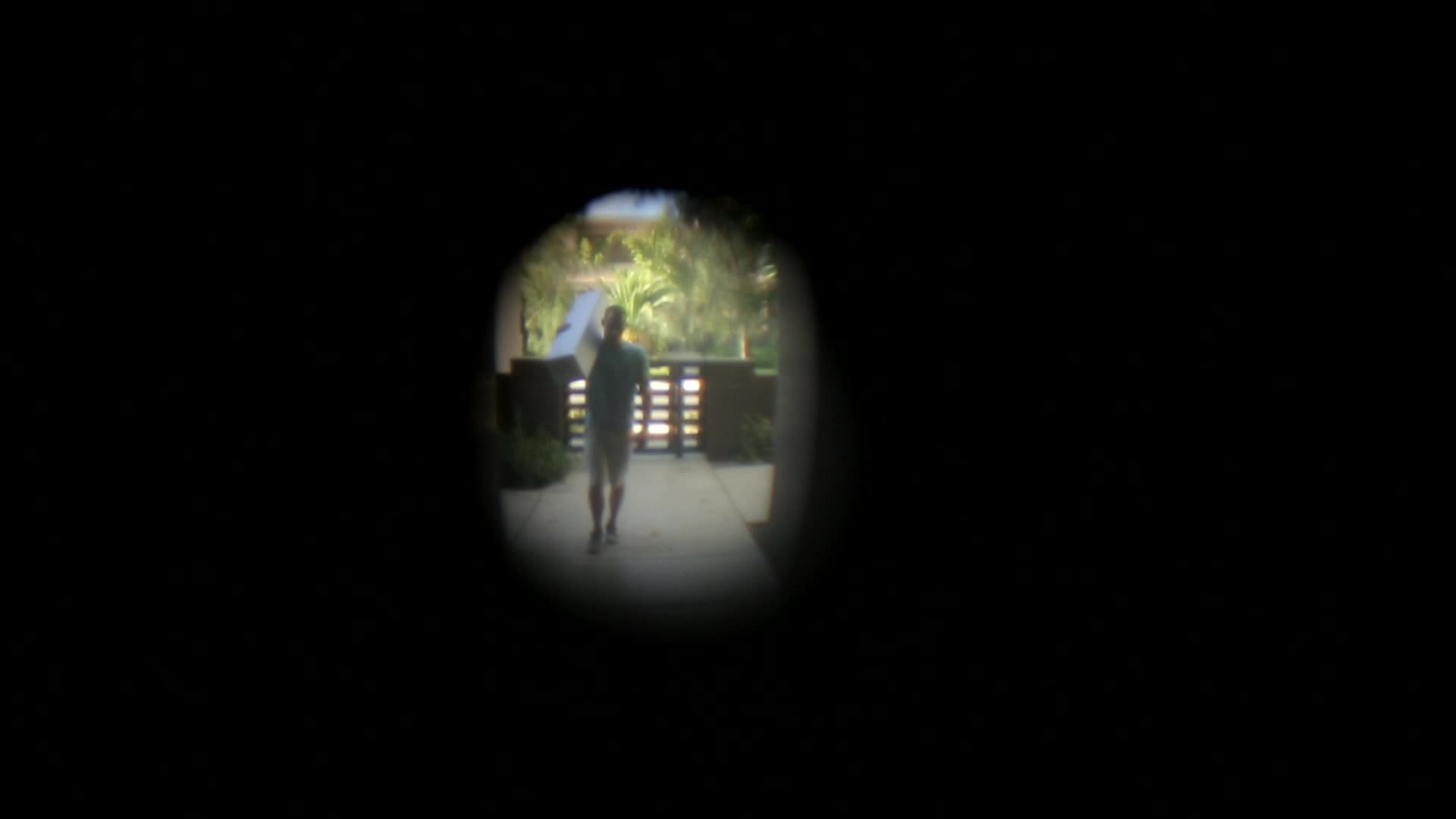 Snapshot Frame 1