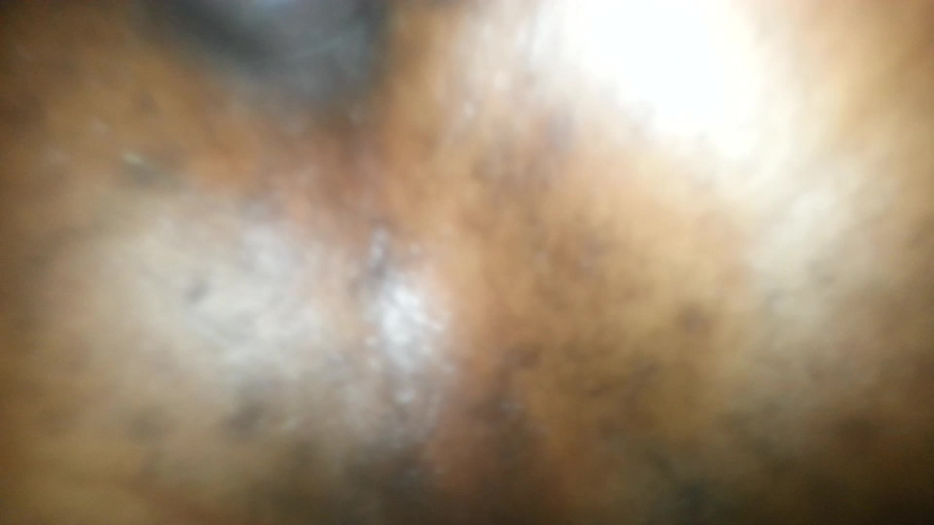 Snapshot Frame 3