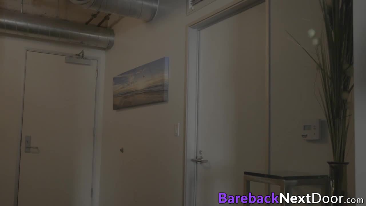 Snapshot Frame 1
