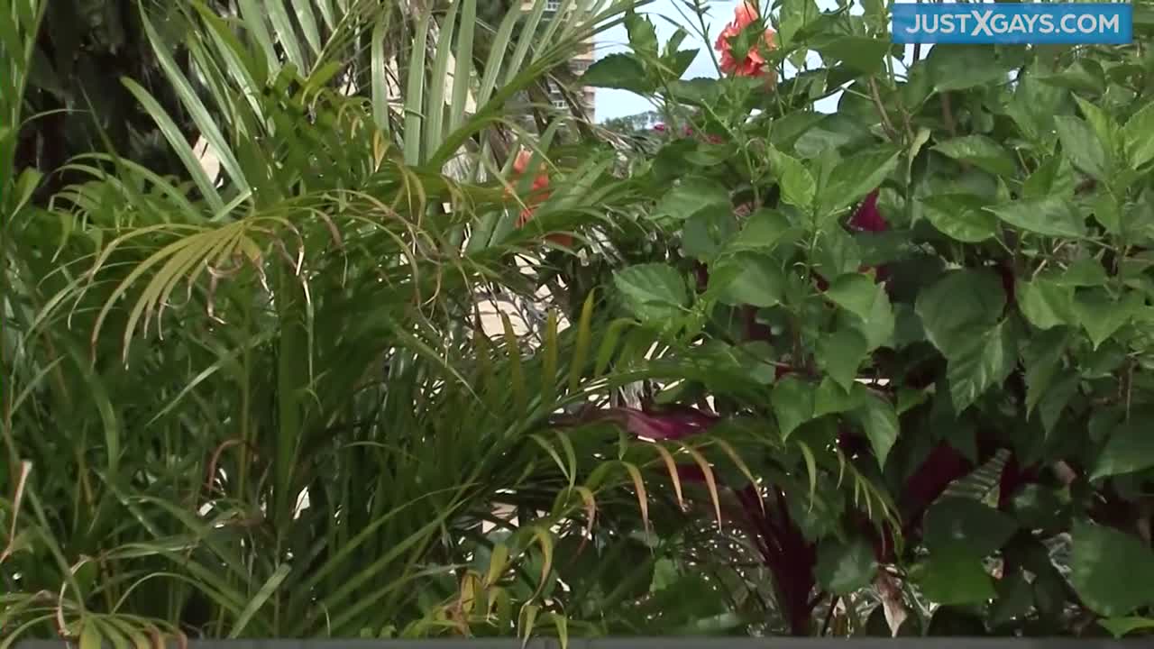 Snapshot Frame 1