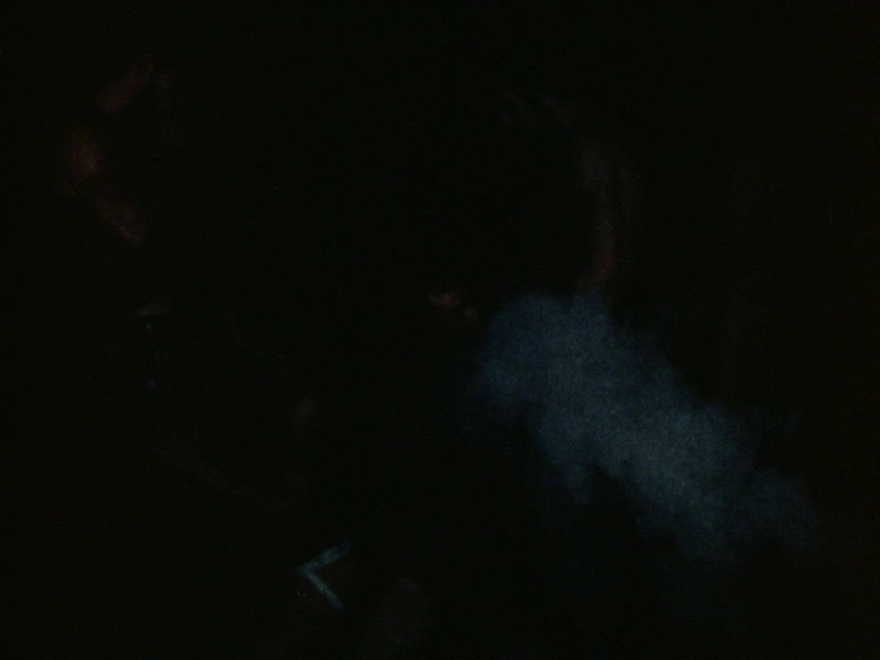 Snapshot Frame 11