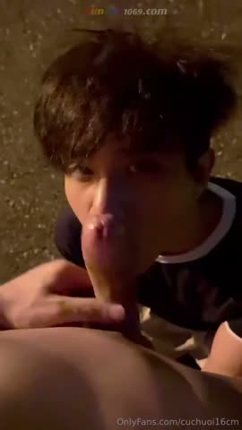 Thai boys fucking