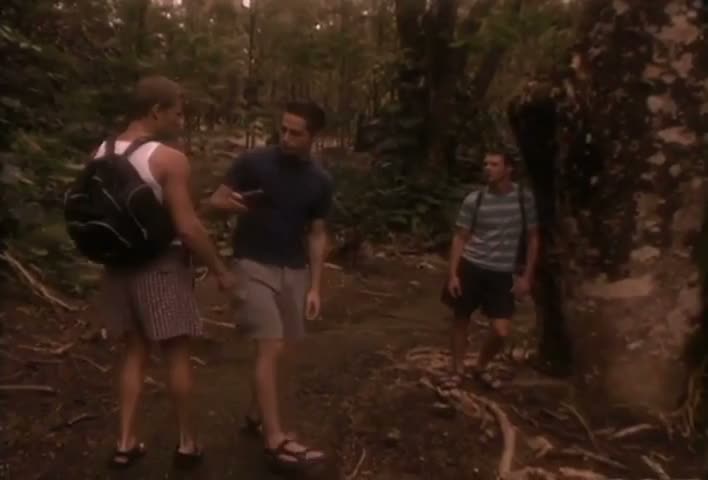 Snapshot Frame 1
