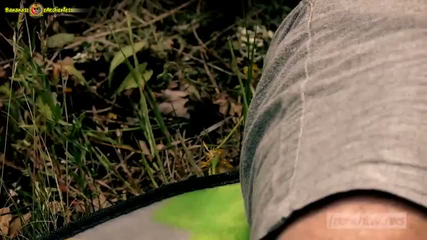 Snapshot Frame 2