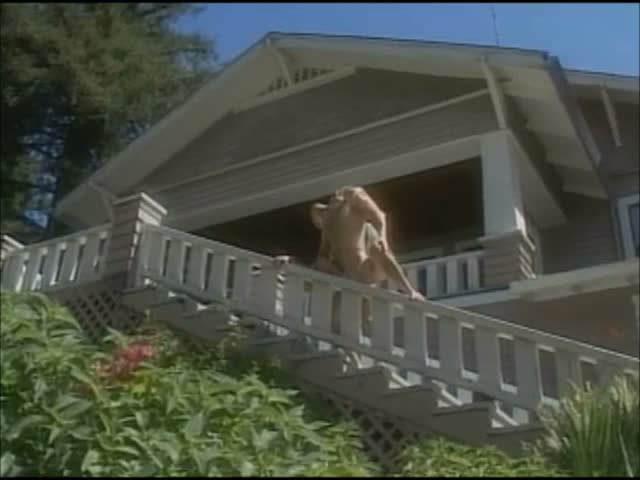 Snapshot Frame 12