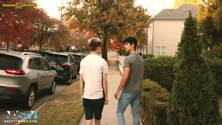 Snapshot Frame 1