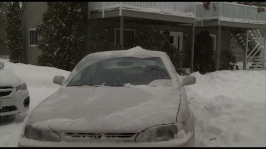 Snapshot Frame 1