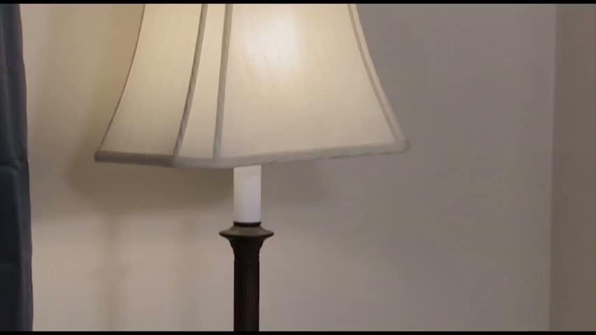 Snapshot Frame 3